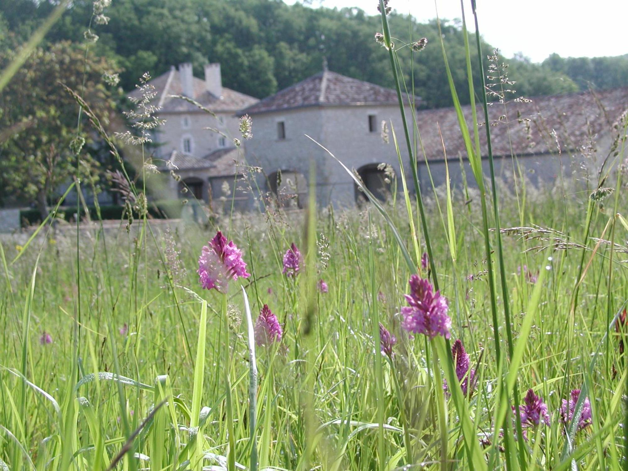 Chateau Lecusse - La Grande Roche - Hotel, Spa, Boutique & Restaurant Broze Zewnętrze zdjęcie