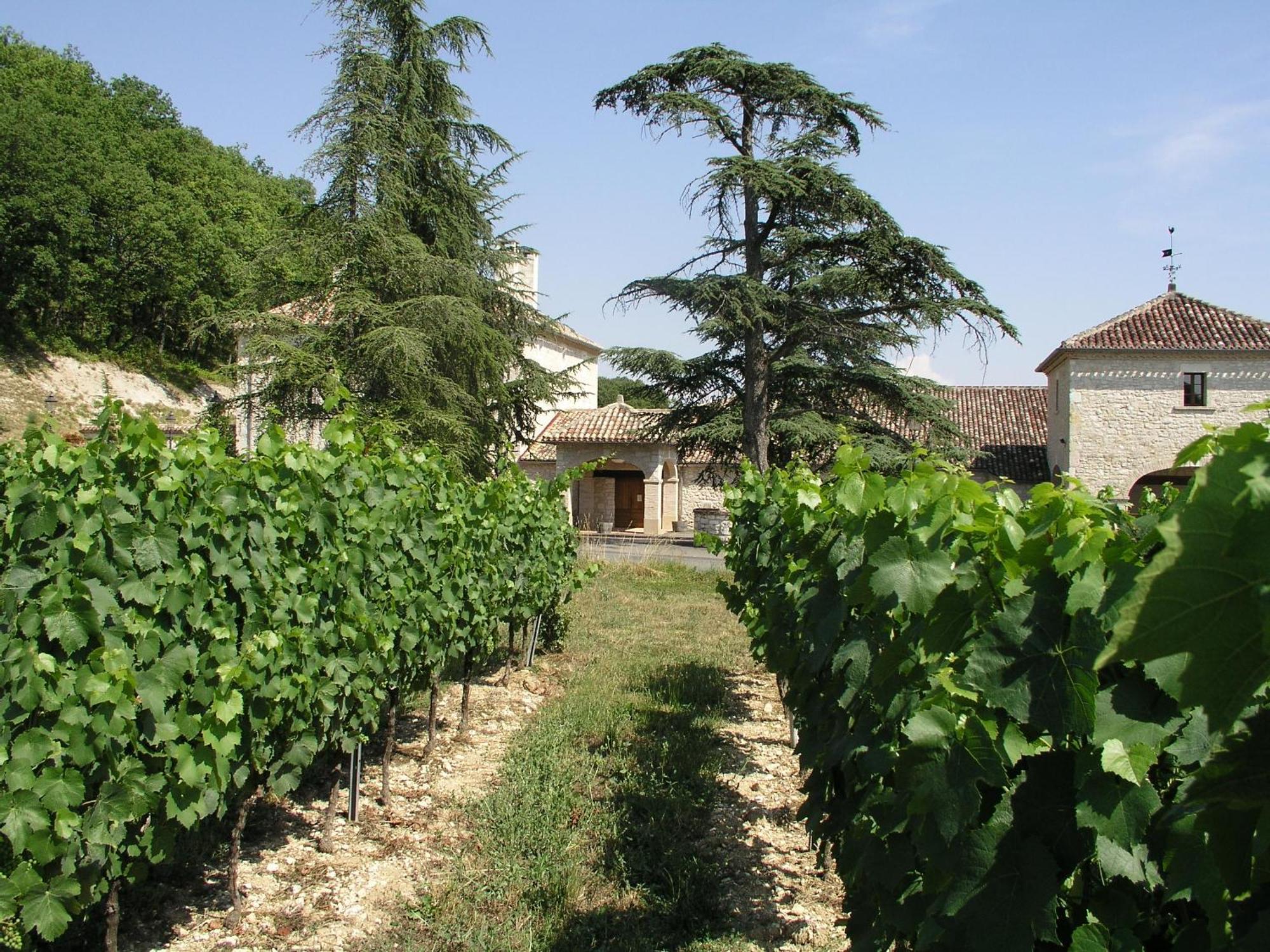 Chateau Lecusse - La Grande Roche - Hotel, Spa, Boutique & Restaurant Broze Zewnętrze zdjęcie